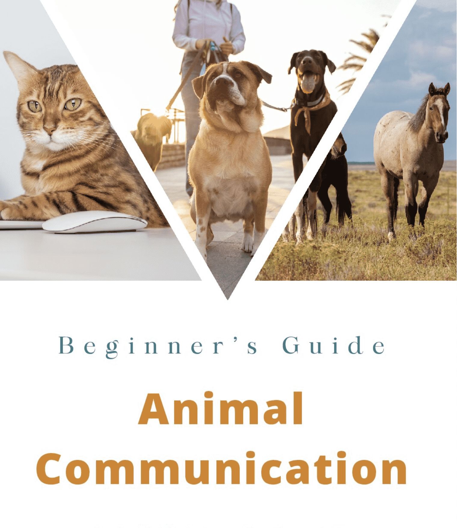 Free pet grief healing guide ebook cover