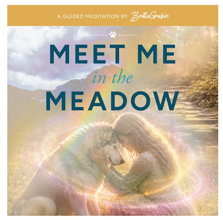 Finding Signs From Your Pet - A Guided Meditation by Britta Grubin